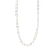 Mabina Girocollo in argento con perle coltivate 553828
